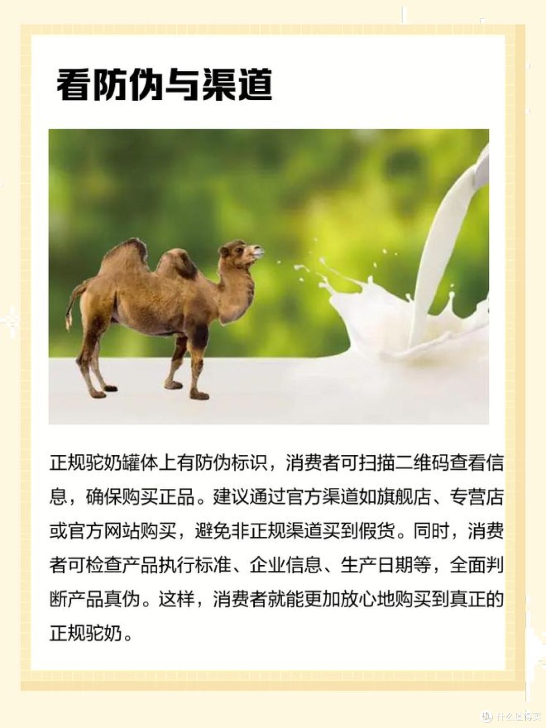 真驼奶和假驼奶的区别,你能分得清吗?