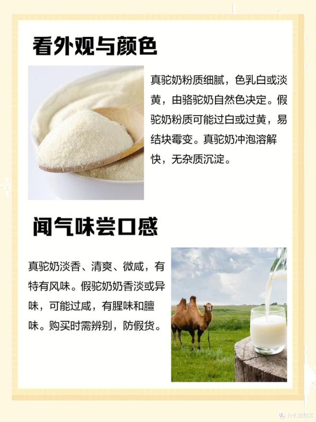 真驼奶和假驼奶的区别,你能分得清吗?