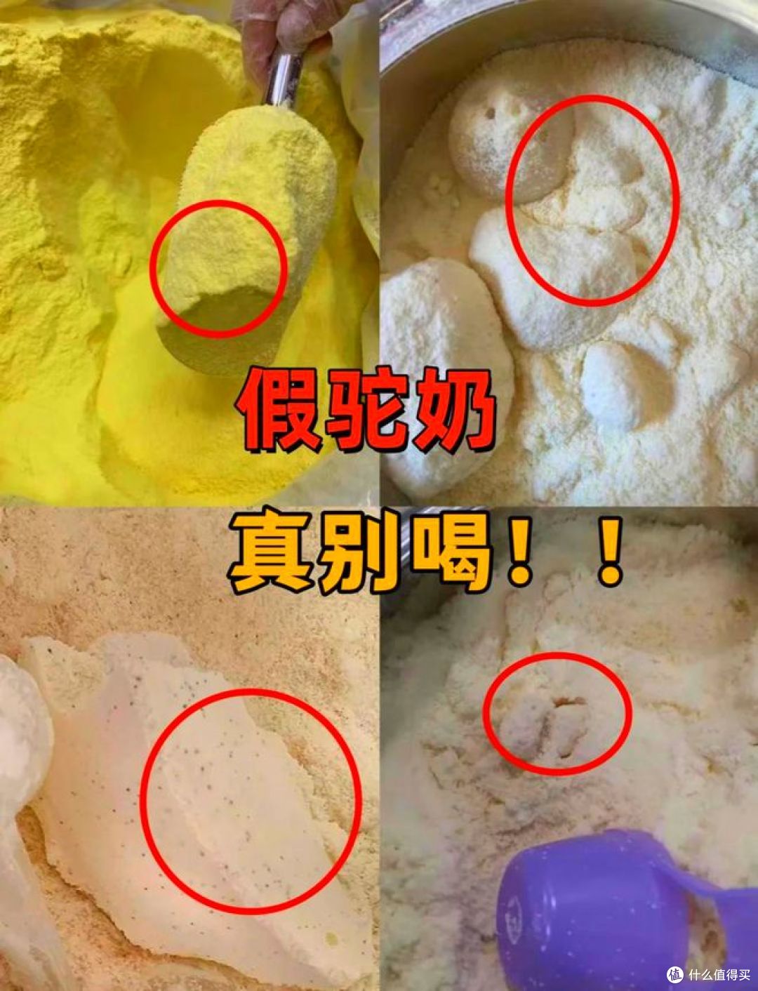真驼奶和假驼奶的区别,你能分得清吗?