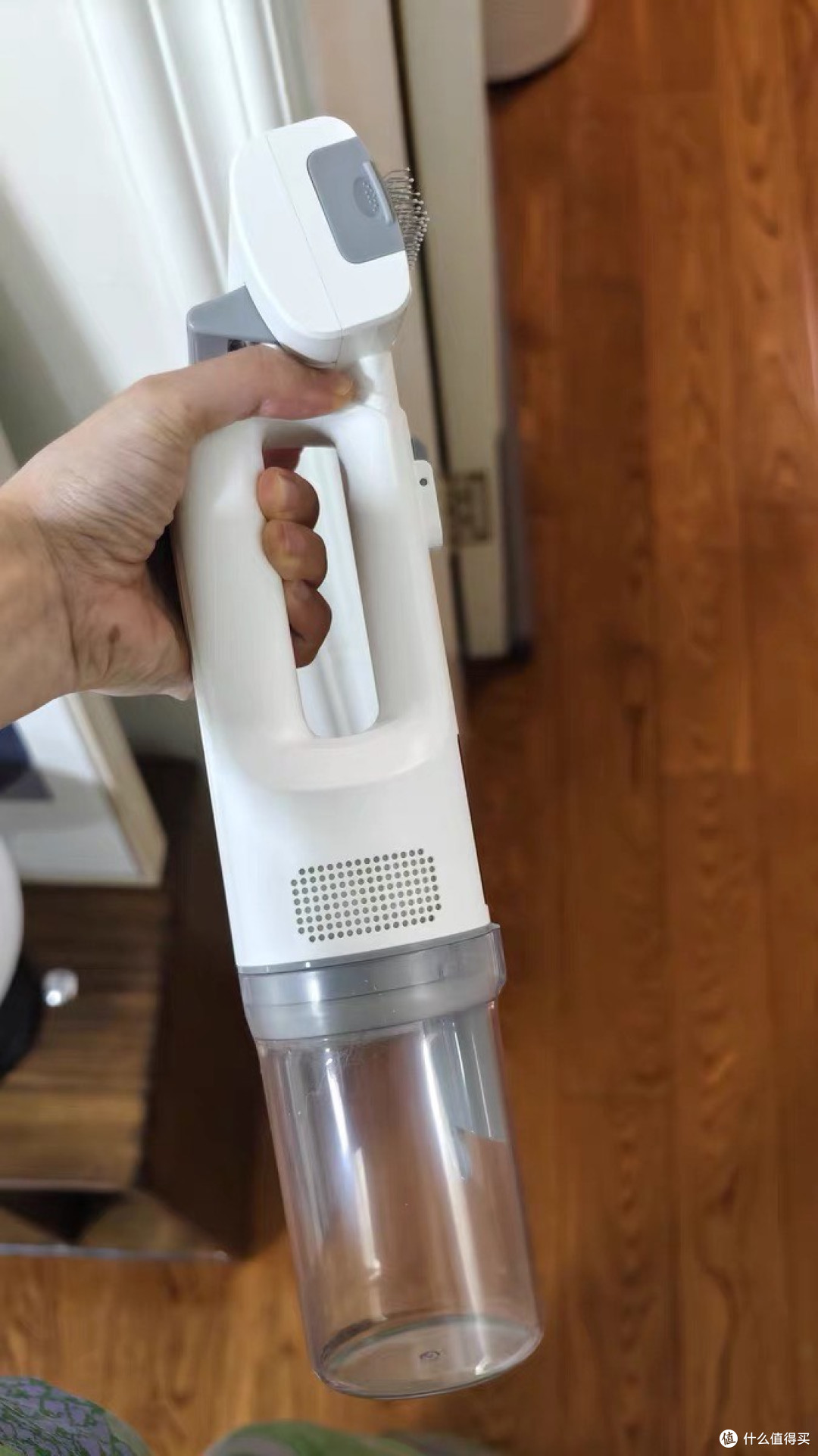 宠物吸毛器解决掉毛烦恼