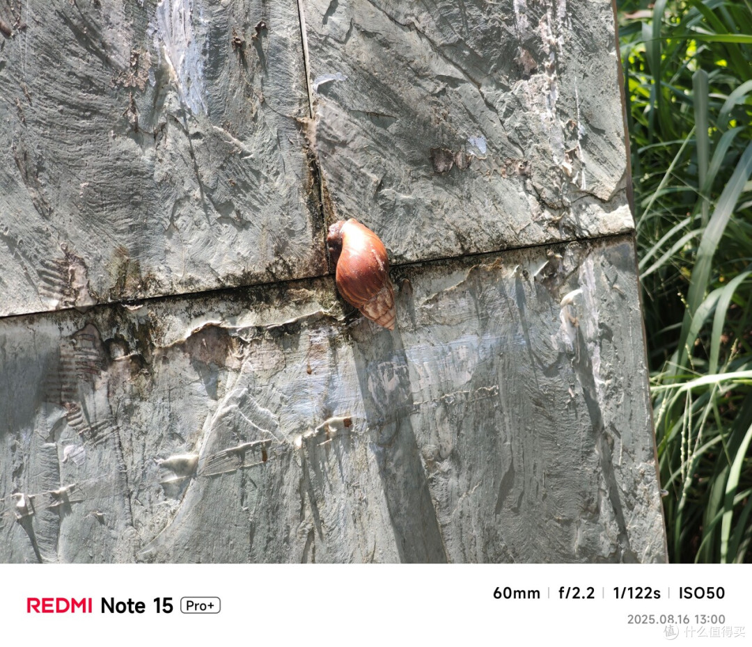 Redmi Note 15 Pro+首发评测:1899元的耐用机,综合体验如何?