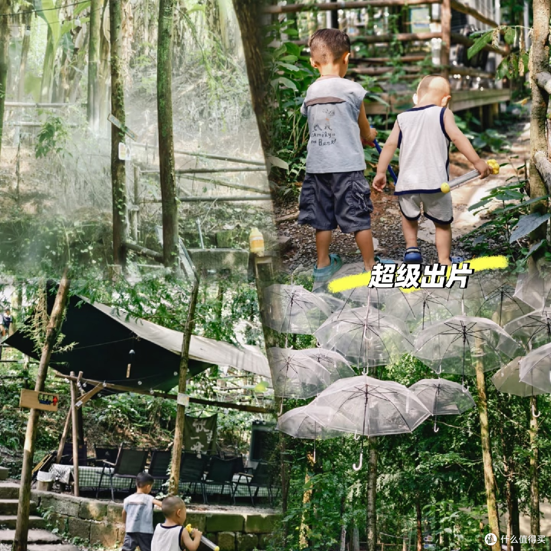 重庆溜娃|在渝北🌳闯入无蚊森林“赶海”