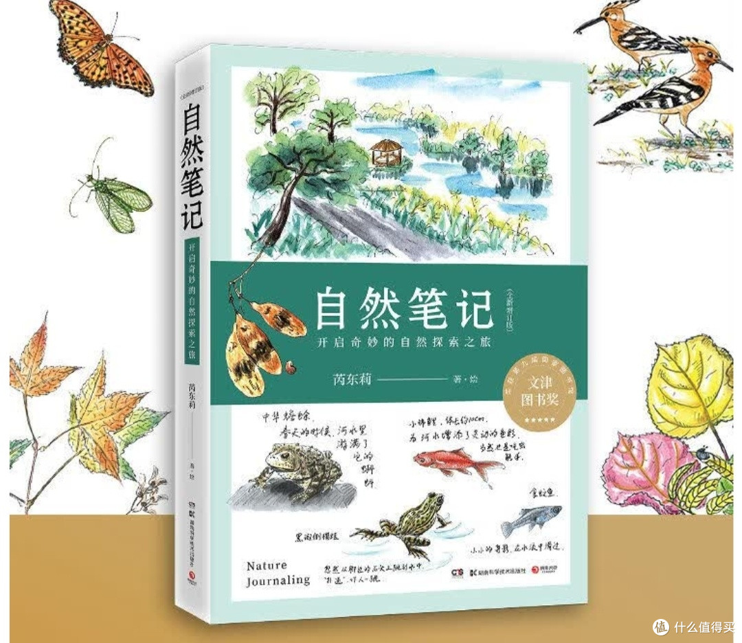与自然重修旧好:评芮东莉《自然笔记》的治愈力量