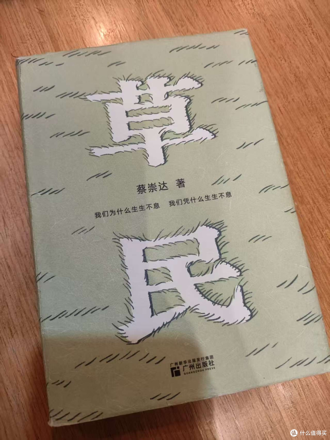 《草民》读书心得:生活不易,但希望永存