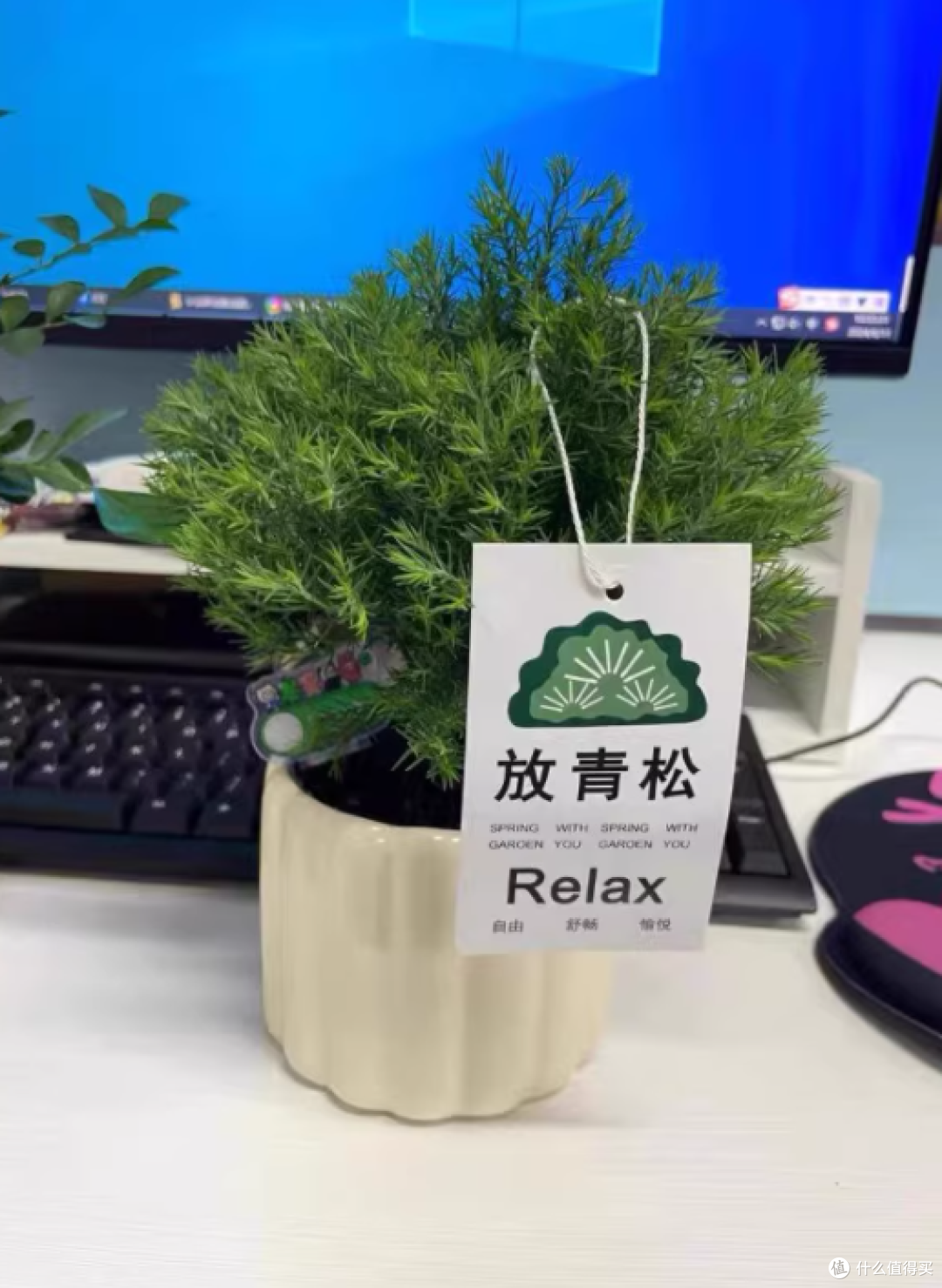 牛小陶旗舰店创意生日礼物女生桌面摆件 —— 拒绝焦虑的雾凇