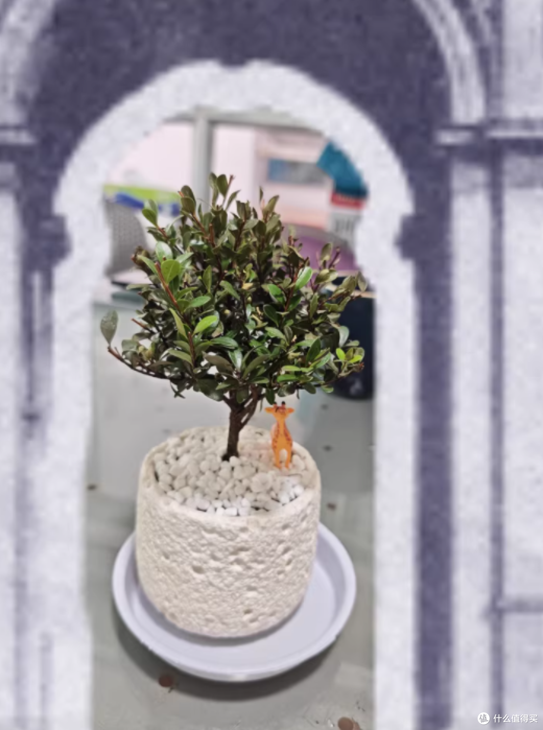 牛小陶旗舰店创意生日礼物女生桌面摆件 —— 拒绝焦虑的雾凇