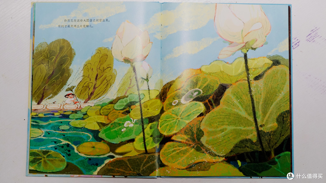 国风｜语文课精选经典绘本《荷花》