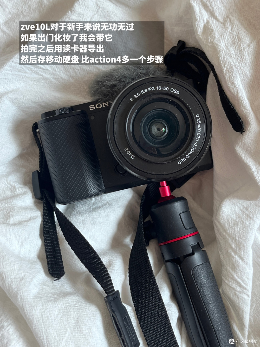 Sony zve10L