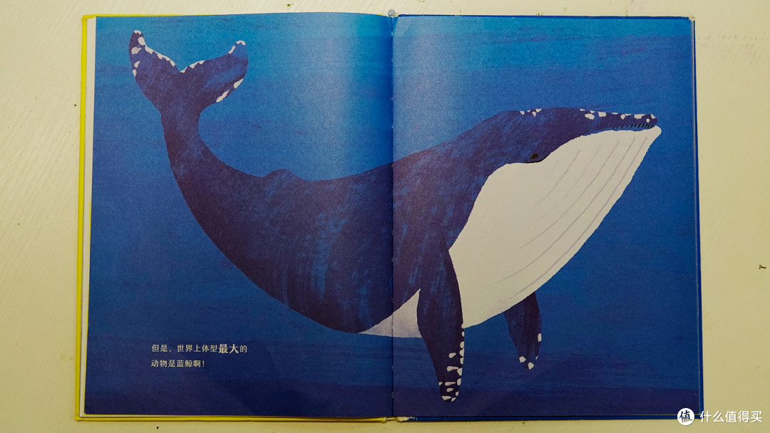 儿童绘本《颜色大作战》