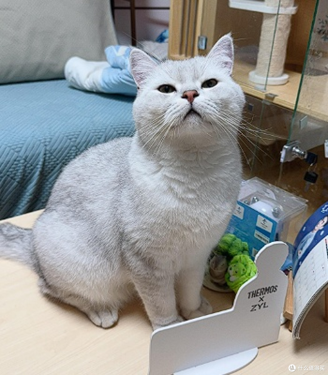 猫用空气净化器除猫毛有用吗?推荐猫用空气净化器排行榜前十名