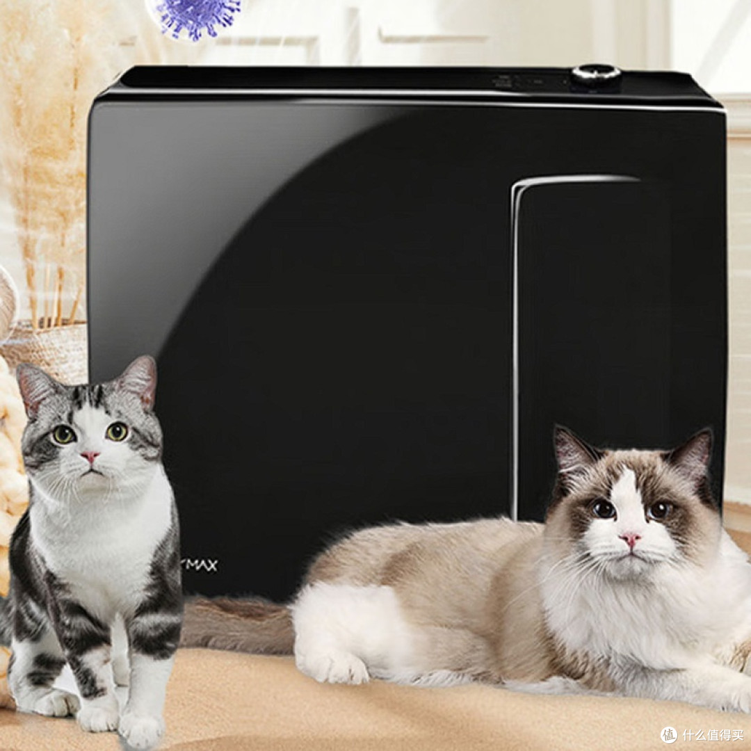 猫用空气净化器除猫毛有用吗?推荐猫用空气净化器排行榜前十名