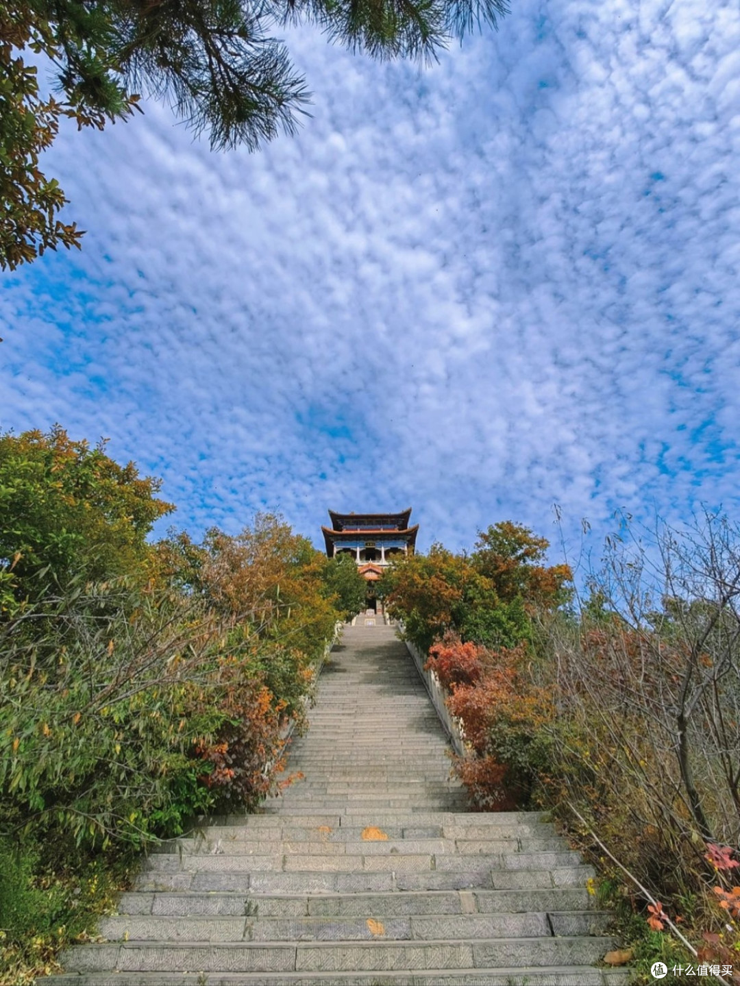 带娃端午爬天桂山