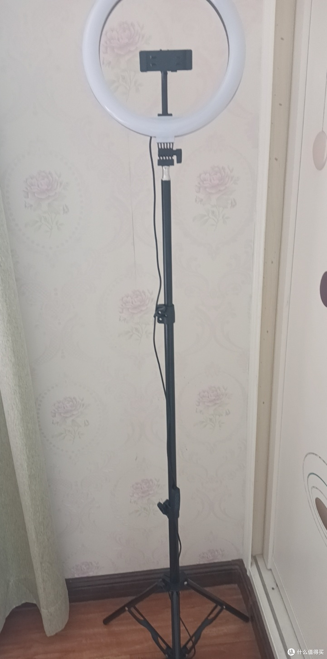 闲鱼淘货：低价入手心仪好物