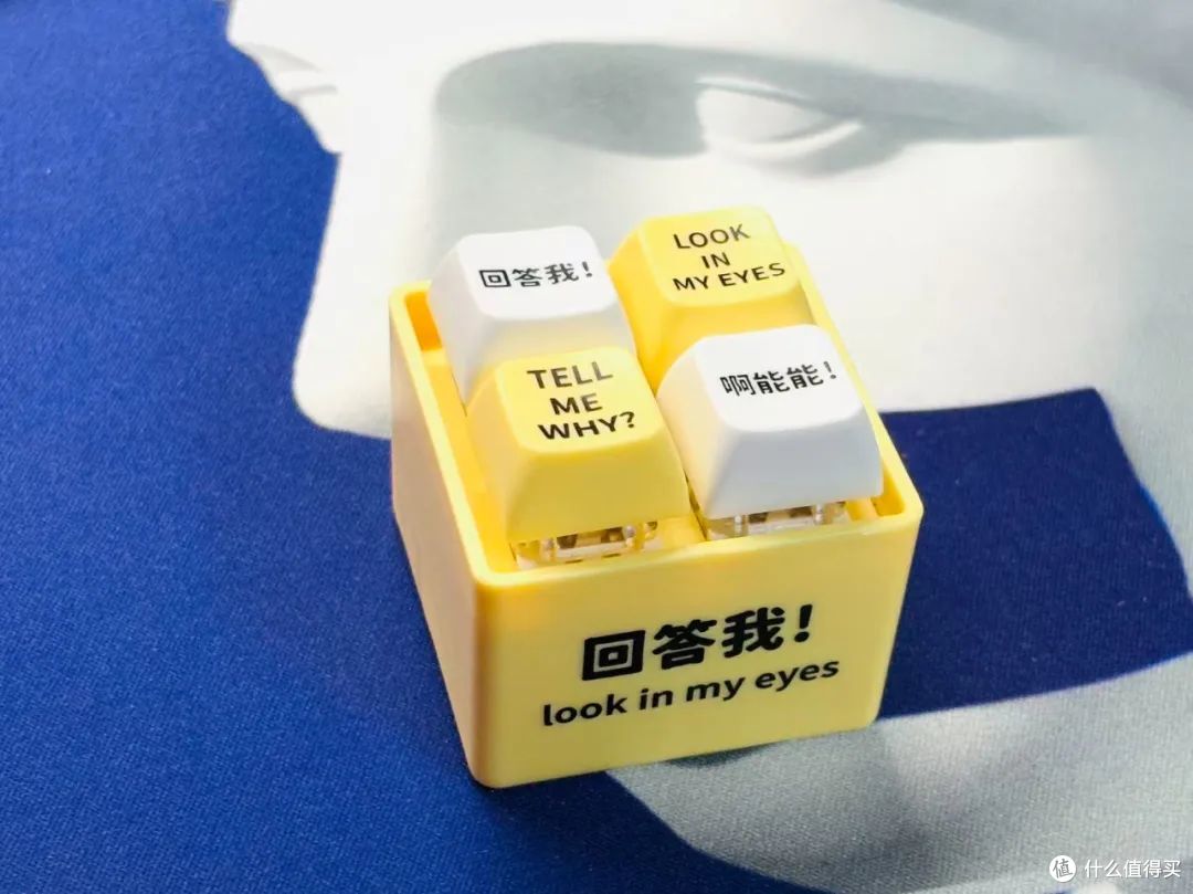8月份又买了这些好物,还有一个好玩的!