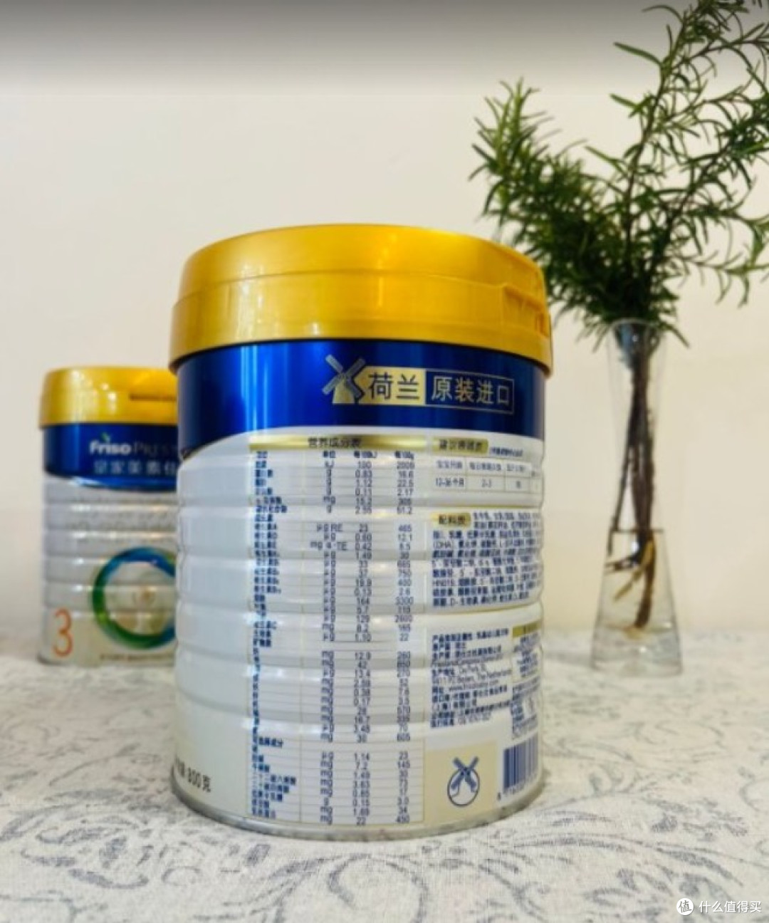 育儿补贴下的热议话题解析：进口奶粉哪种好