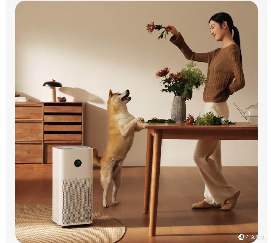 家用净化器如何选？别再买错了！