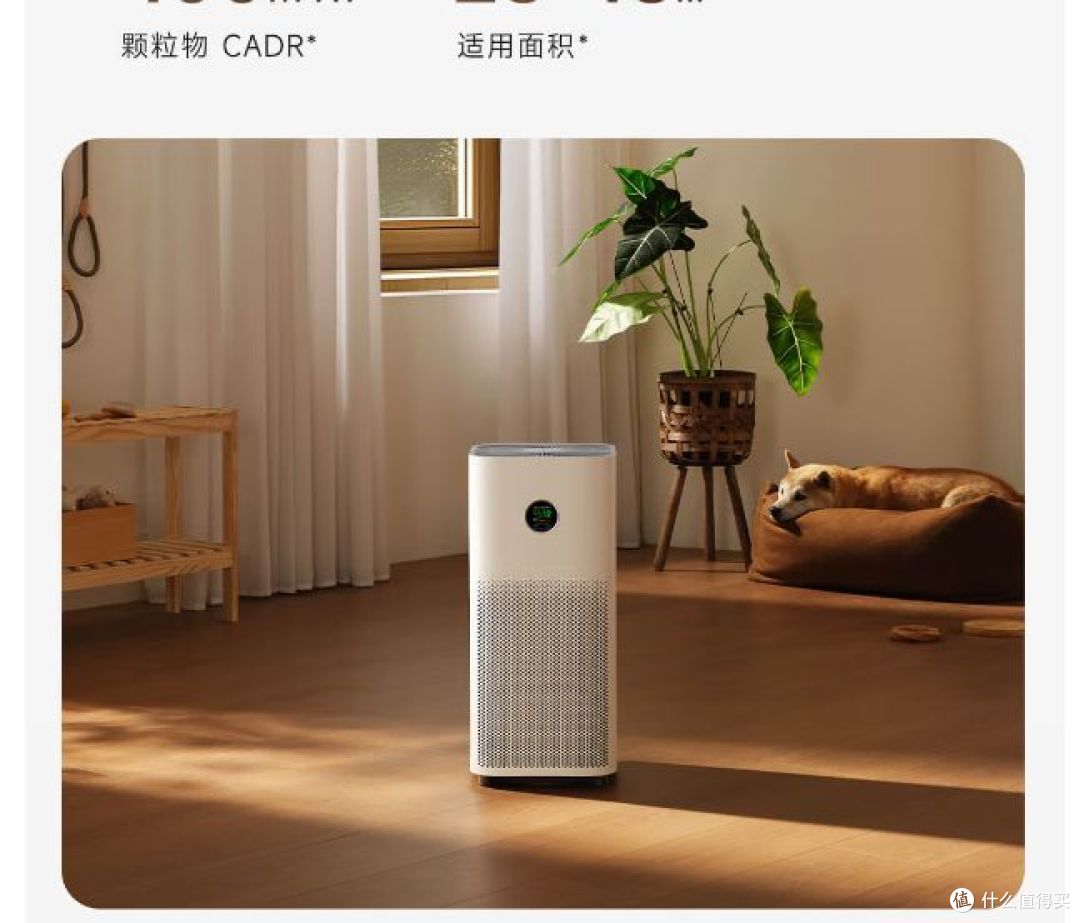 家用净化器如何选？别再买错了！