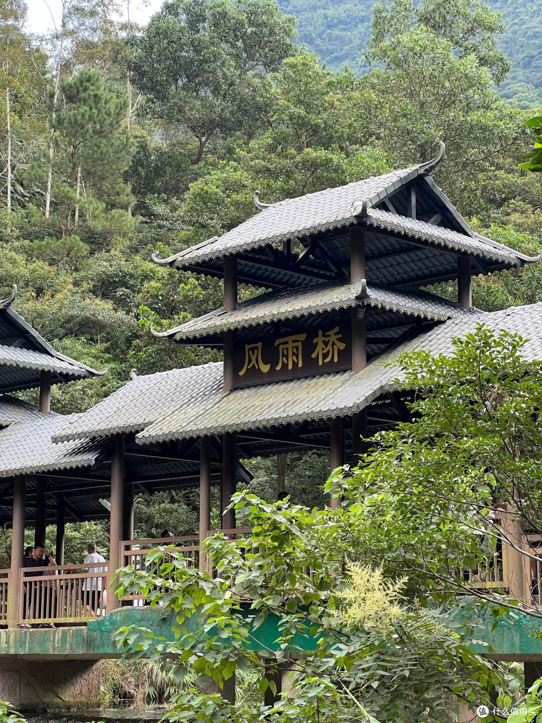 肇庆紫云谷：夏日清凉之旅