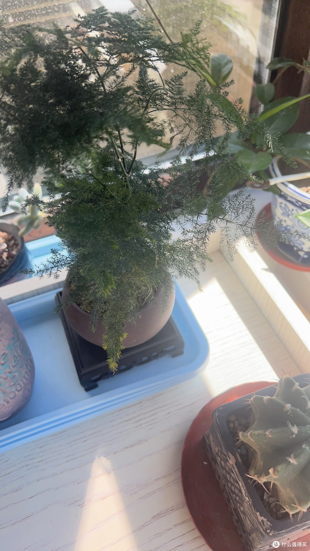 房屋有氧改造计划：打造清新自然居所