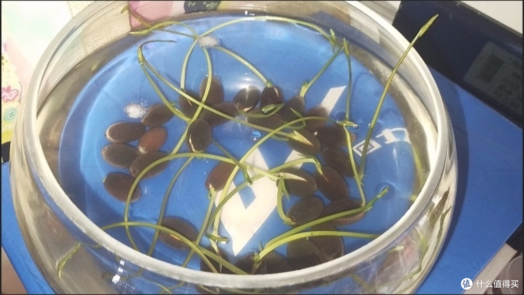 七夕情侣浪漫指南：共度甜蜜时光