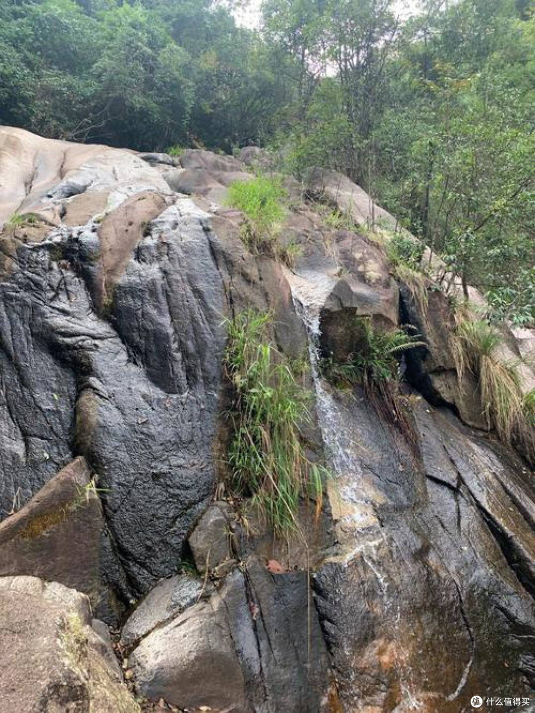 峡谷潭水清凉避暑之旅