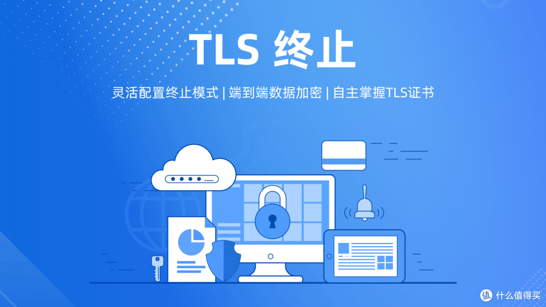 ZeroNews 的 TLS 终止方案有何不同?