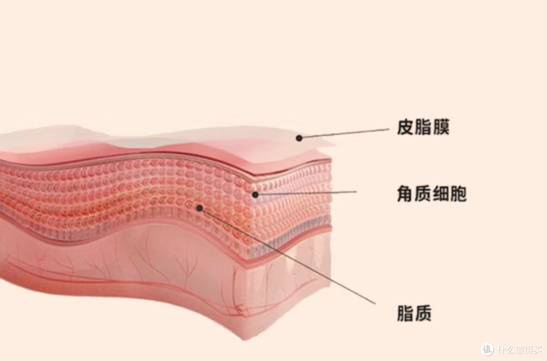送姐妹对象抗皱精华哪个牌子好?最好用的抗皱品牌测评合集