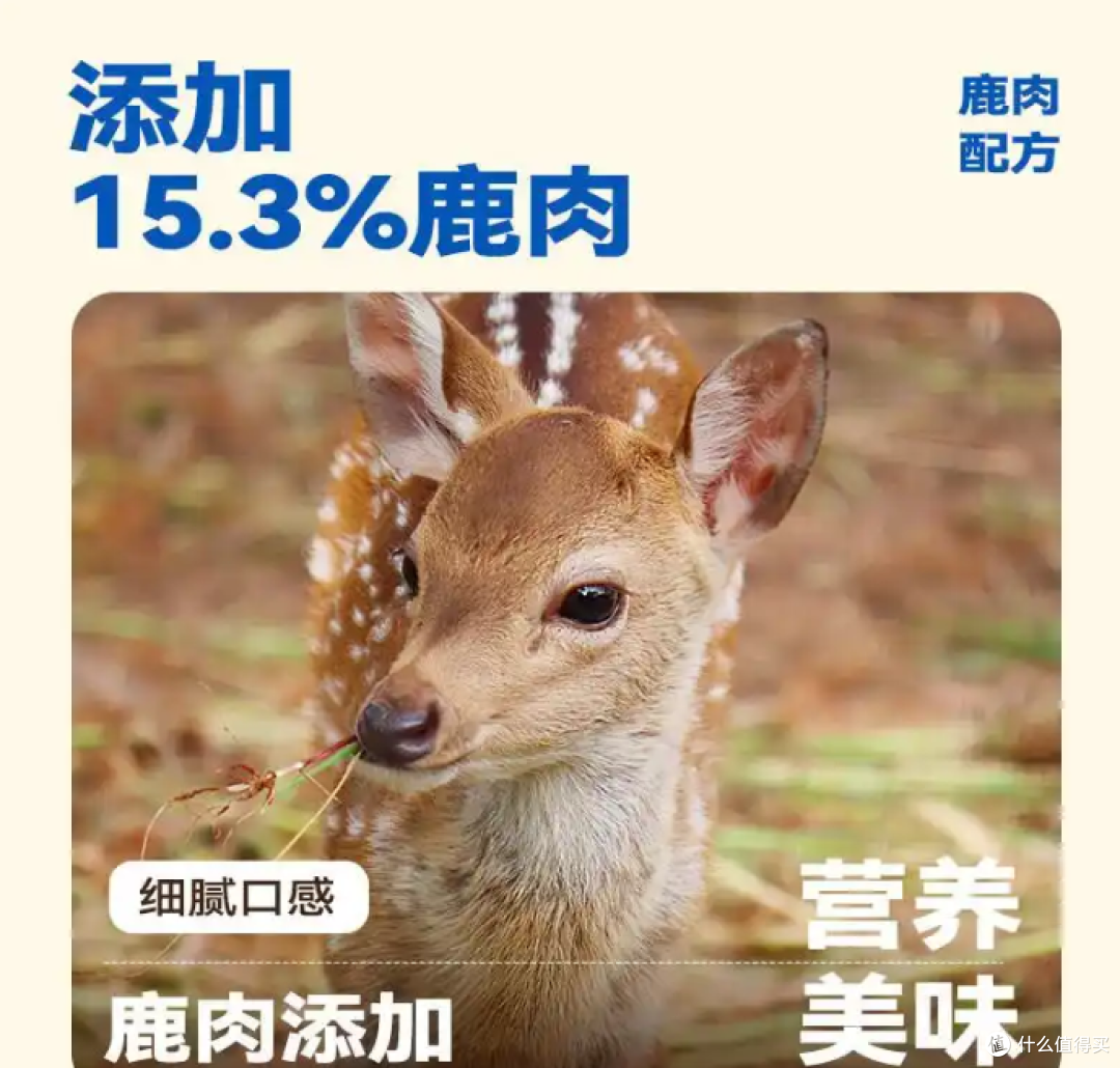 猫粮哪个牌子好,性价比高,优质选择体验佳