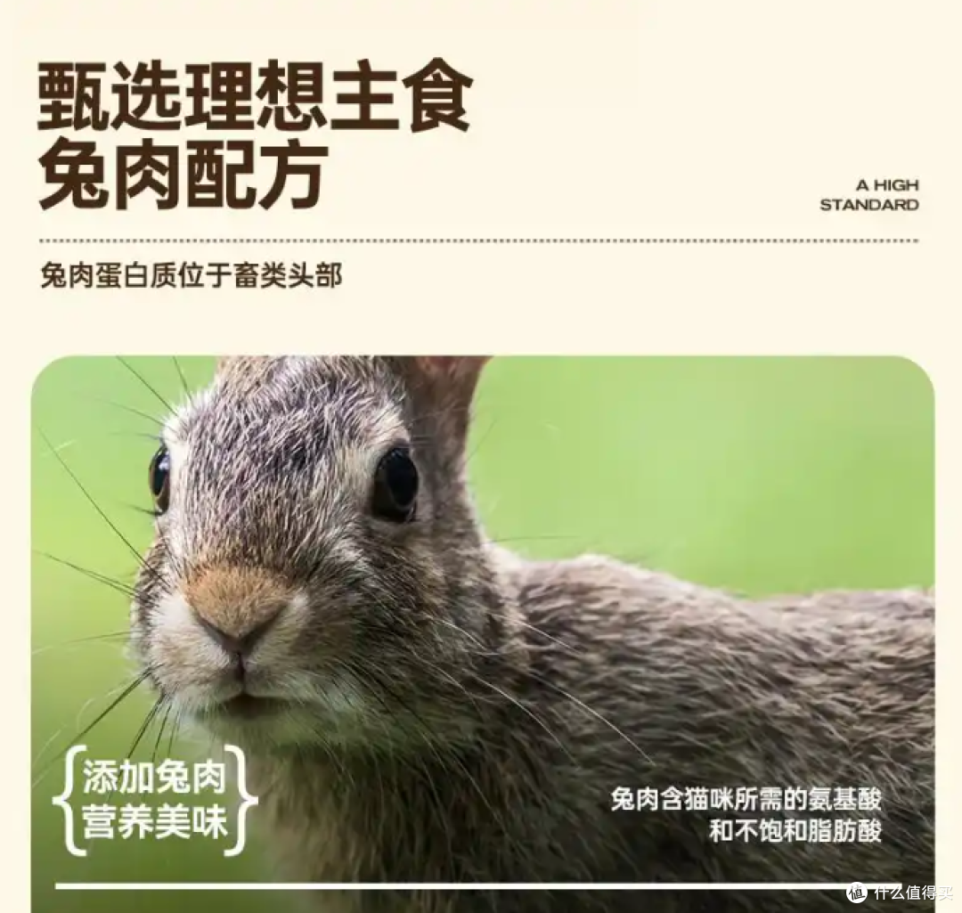 猫粮哪个牌子好,性价比高,优质选择体验佳