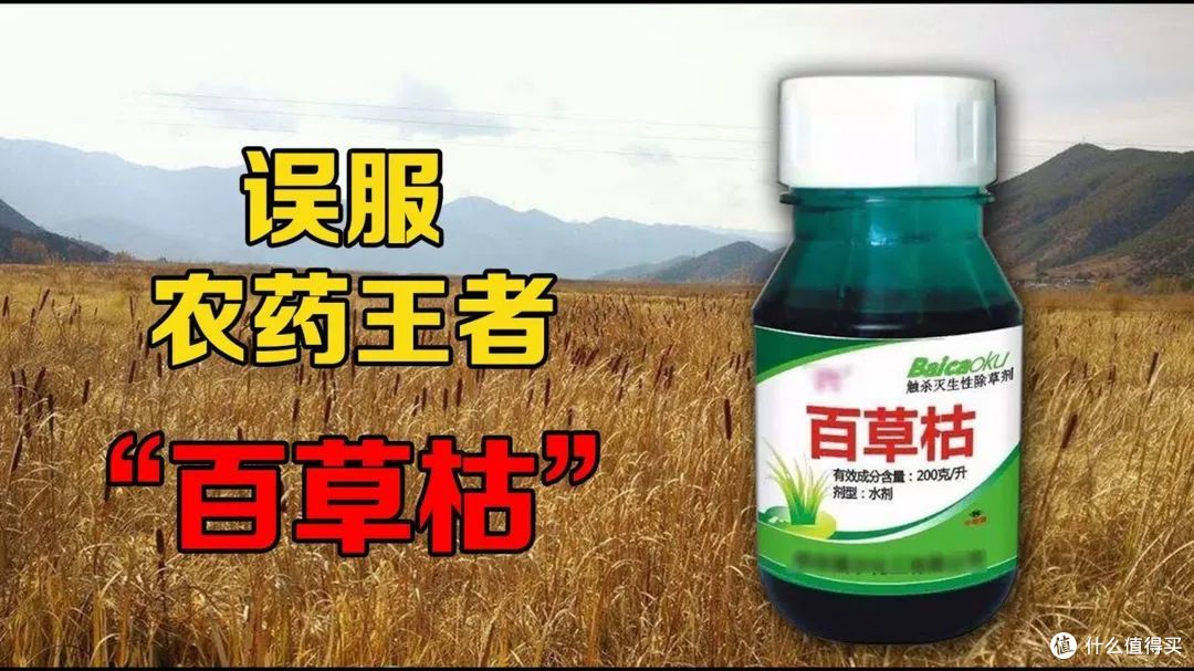 百草枯,为何能成为生命的“终极收割机”?
