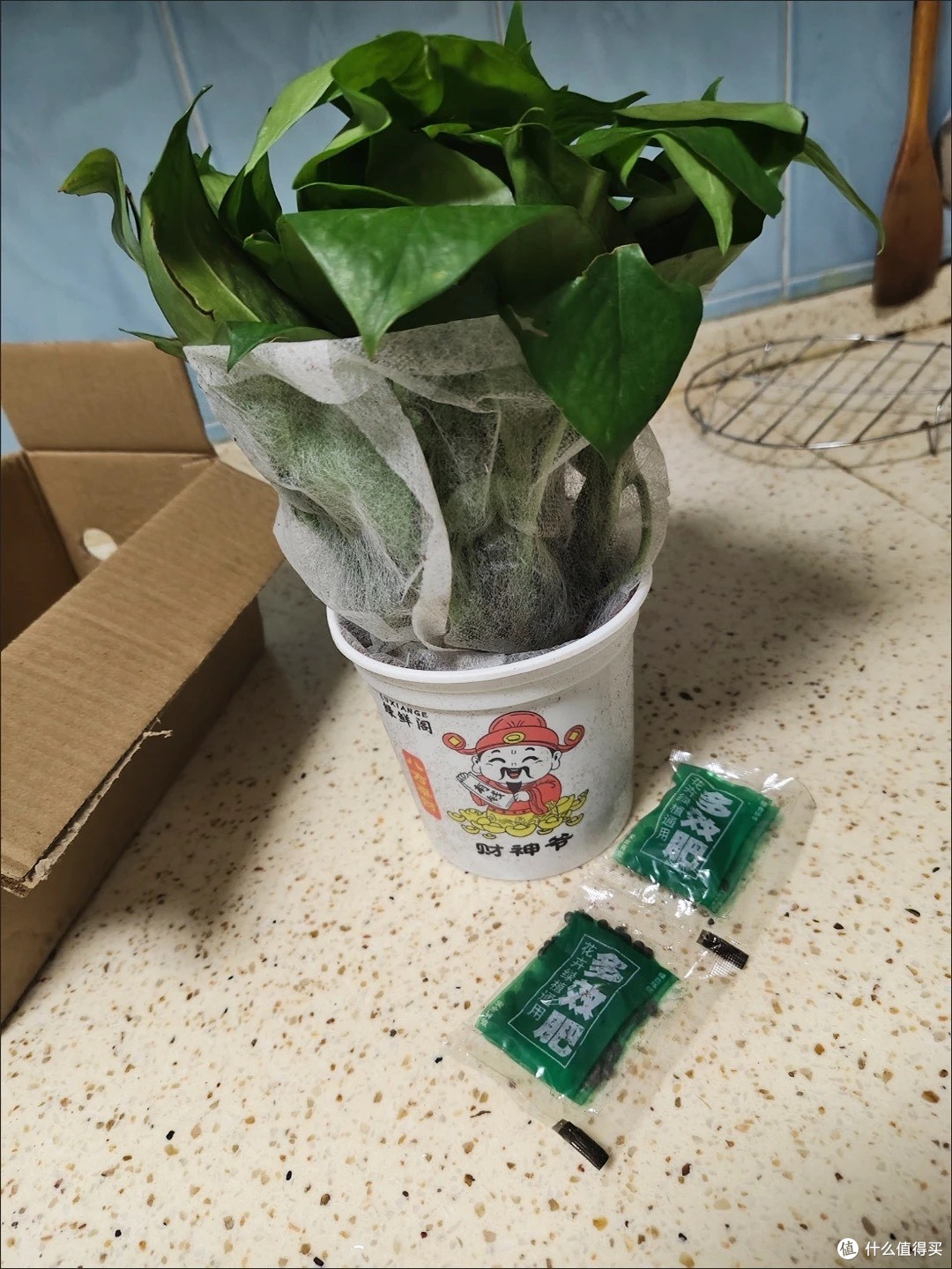 在水泥森林里打造会呼吸的家:我的房间有氧改造实录
