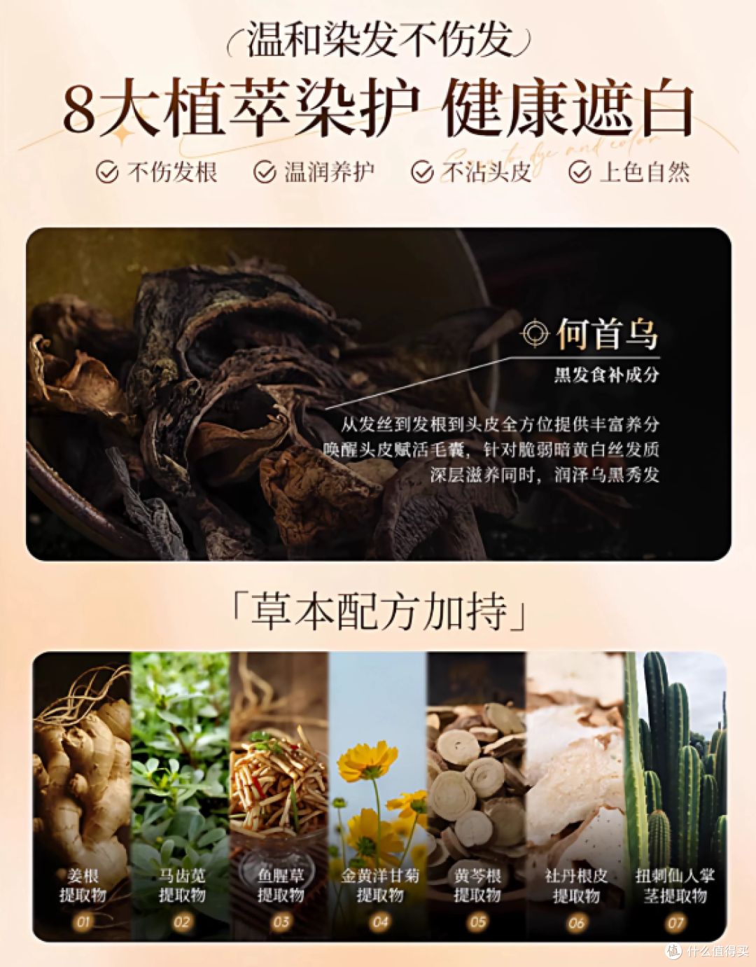 遮白染发剂哪个牌子最好,2025年十大品牌排行榜,第一名值得参考