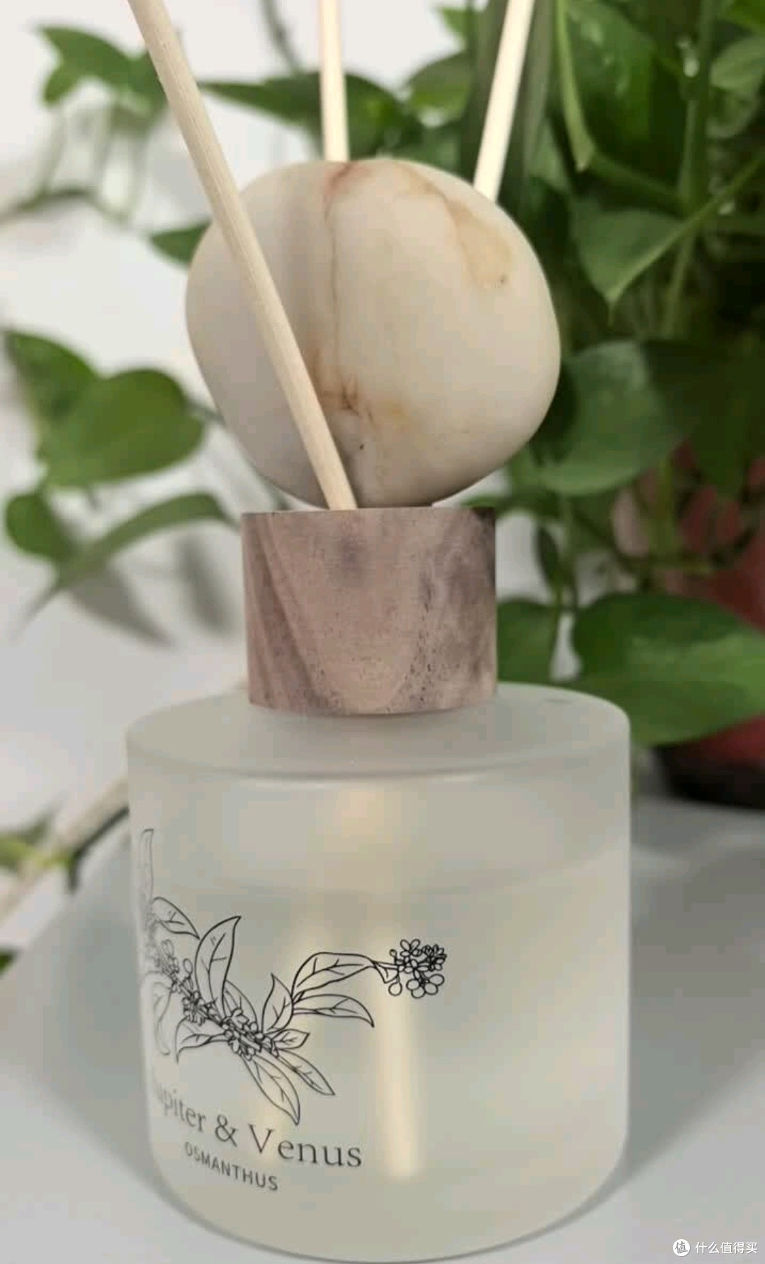 把春日果园搬回家:Jupiter & Venus藤条香薰的温柔暴击