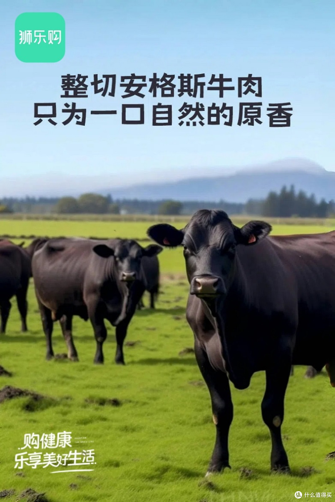 撕开传统牛肉干的标签 这块脆掉渣的牛肉条什么来头？