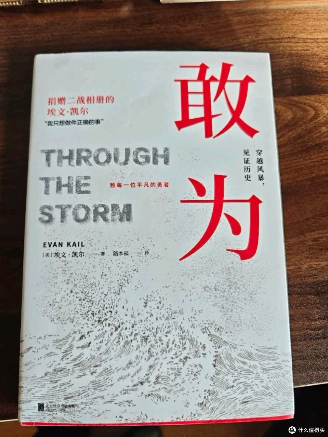 于平凡处见非凡,于黑暗中守光明——读《敢为》有感