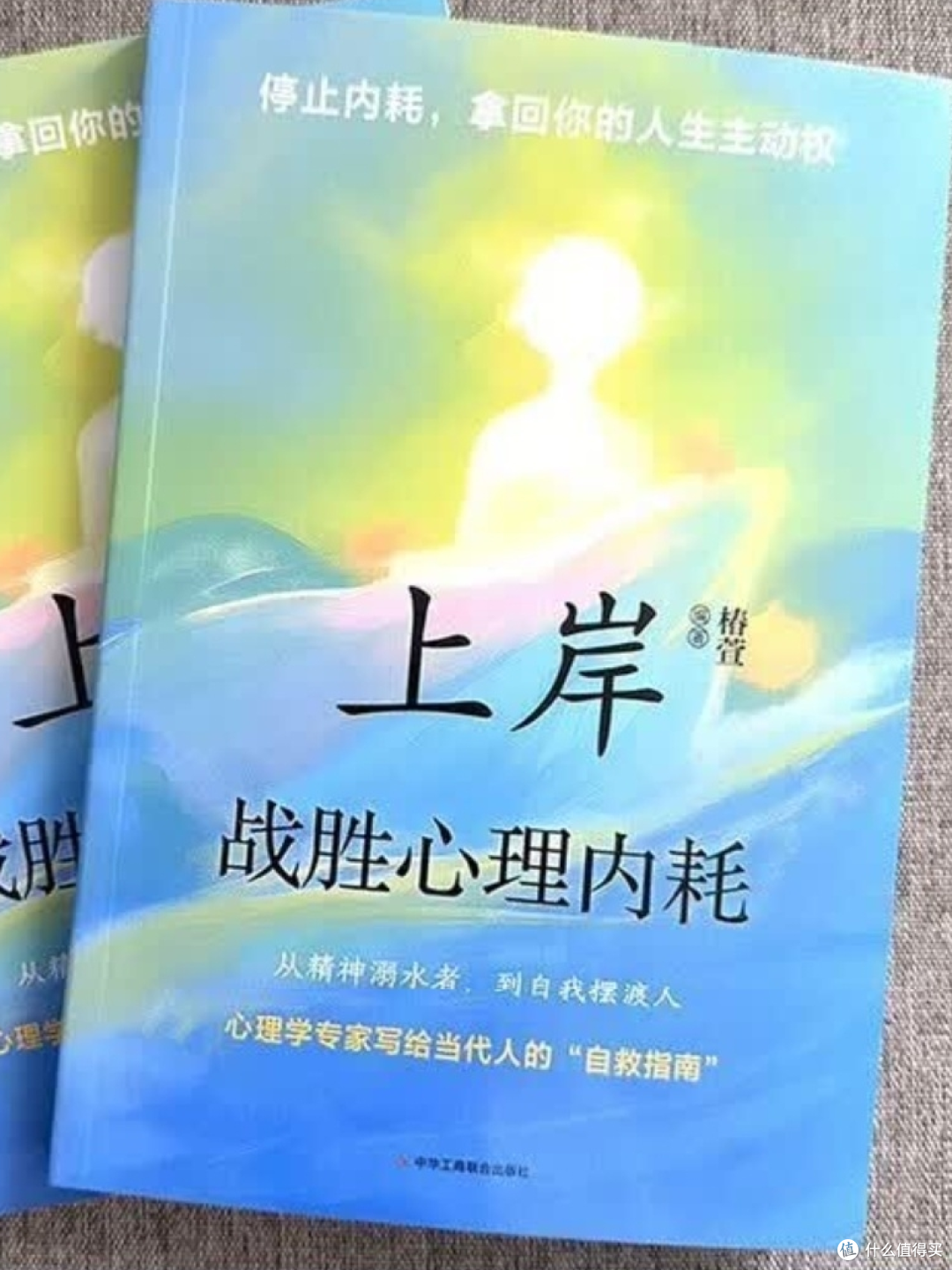 告别内耗,与自己和解。有时间读一读这本《上岸:战胜心理内耗》