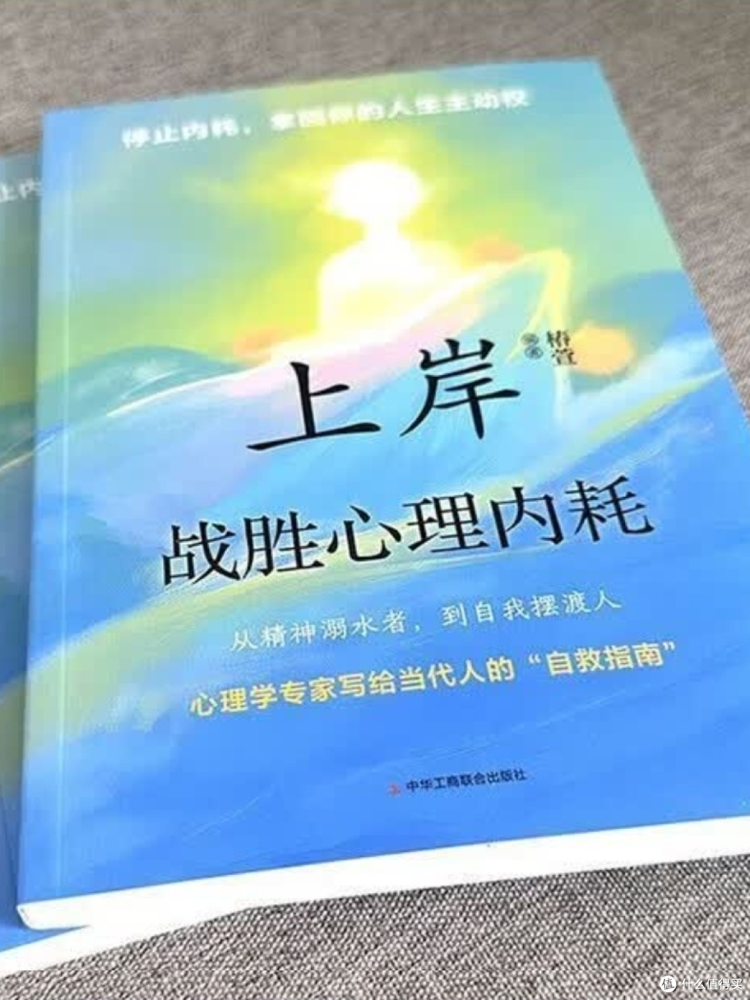 告别内耗,与自己和解。有时间读一读这本《上岸:战胜心理内耗》