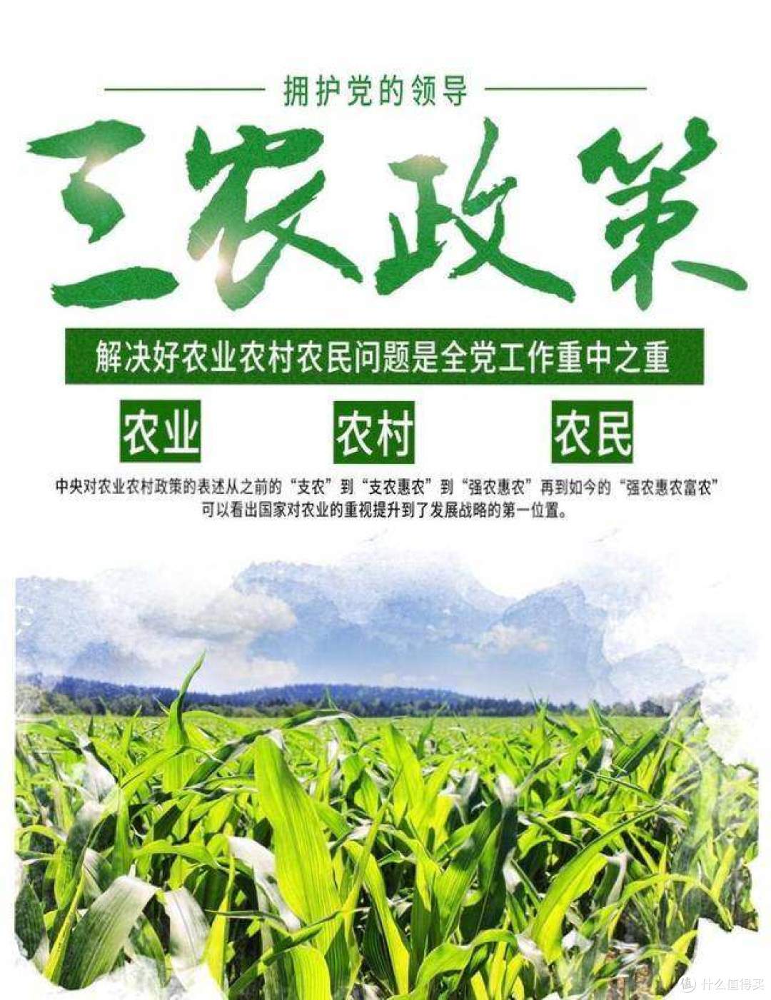 公考结构化面试、三支一扶面试90+学姐的救命干货