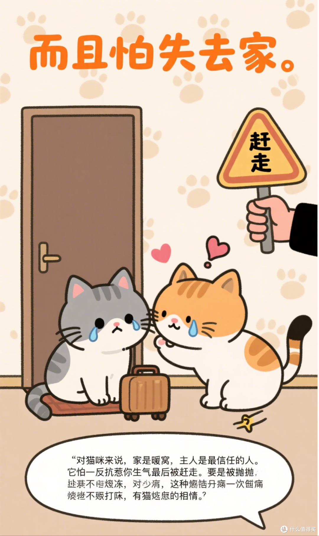 猫咪被打“不反抗”?原因让人心碎!