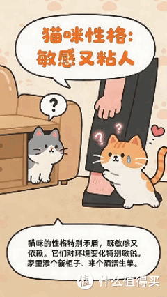 猫咪被打“不反抗”?原因让人心碎!