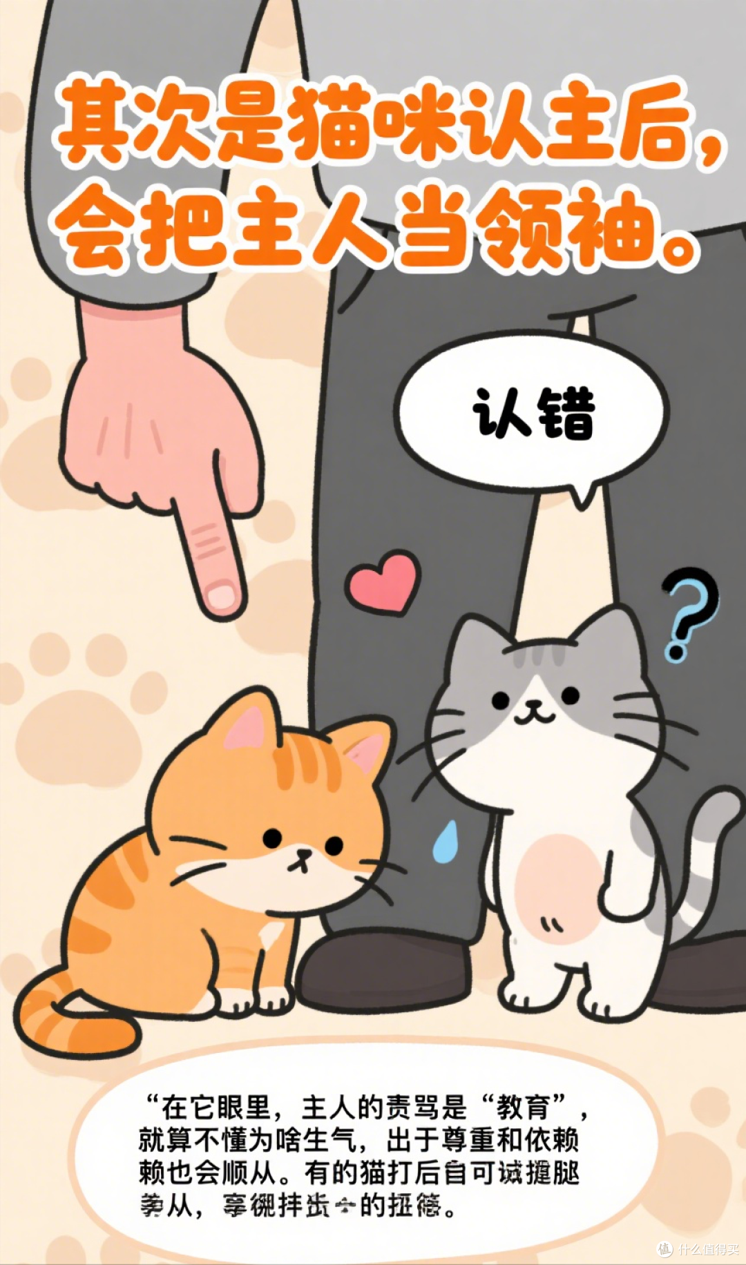 猫咪被打“不反抗”?原因让人心碎!