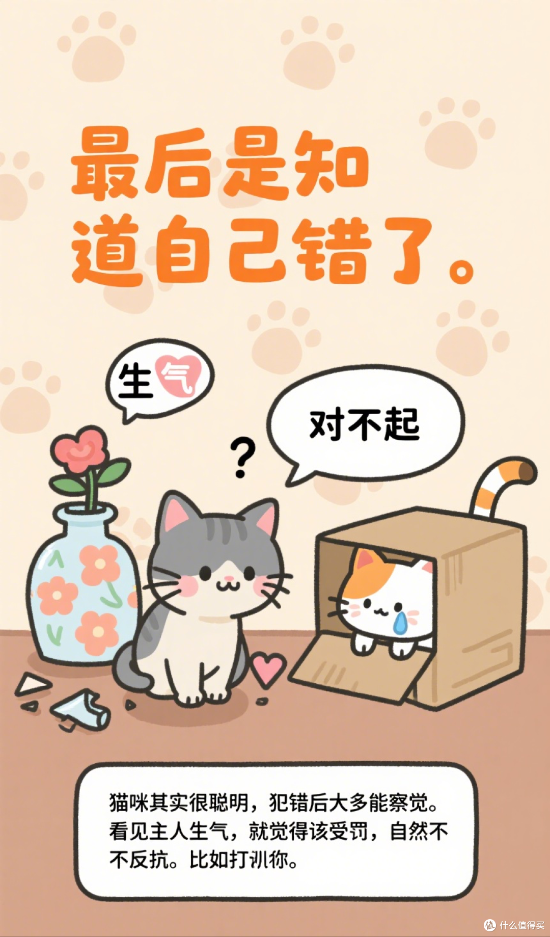 猫咪被打“不反抗”?原因让人心碎!