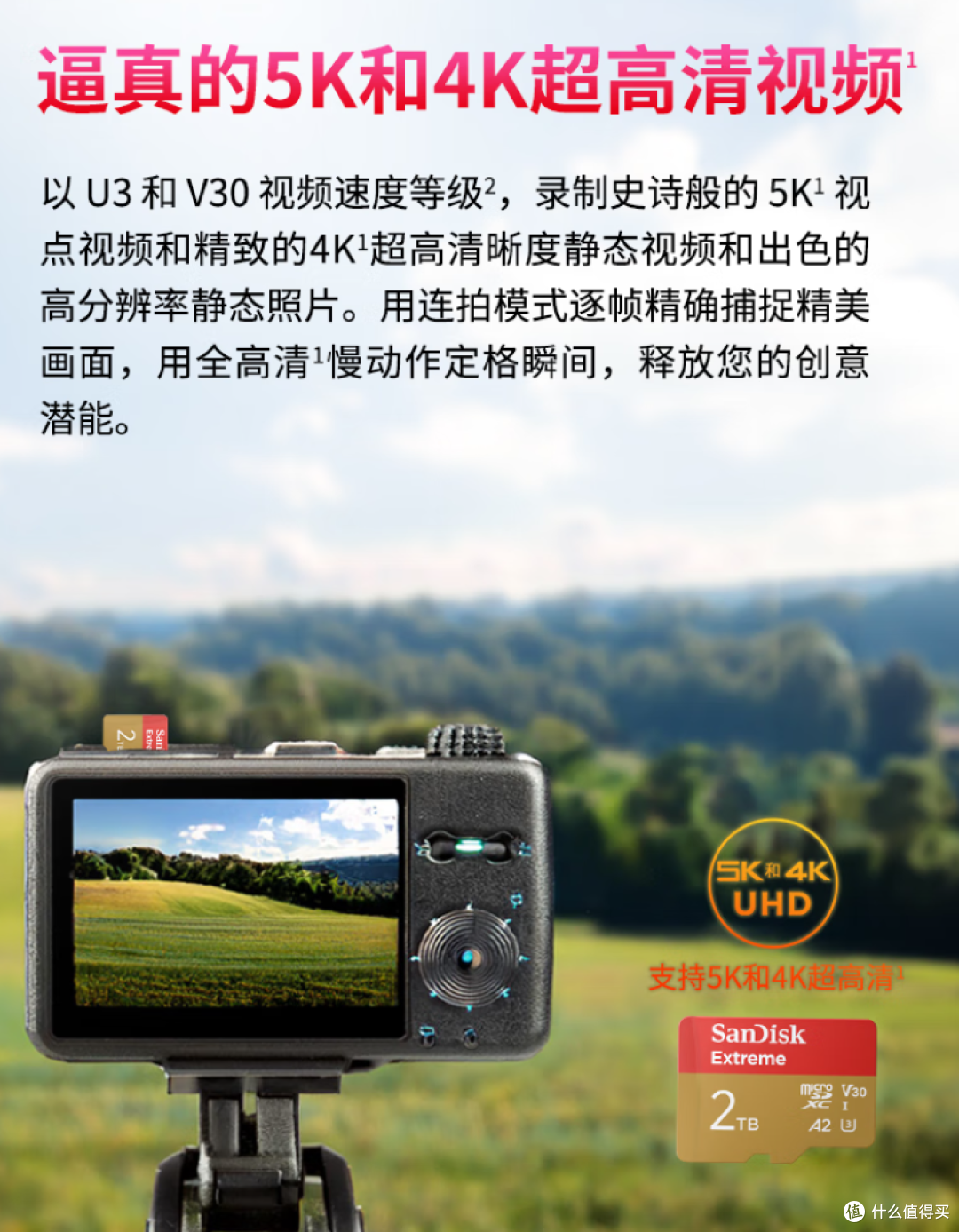 闪迪 TF卡 QXAV