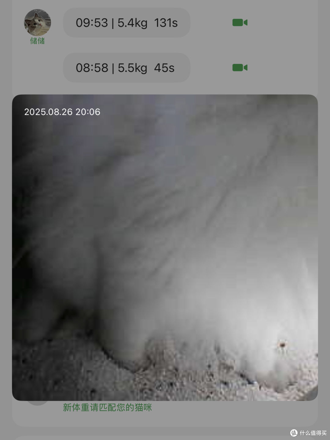 把铲子扔进垃圾桶:智能猫砂盆的 8000 小时使用报告