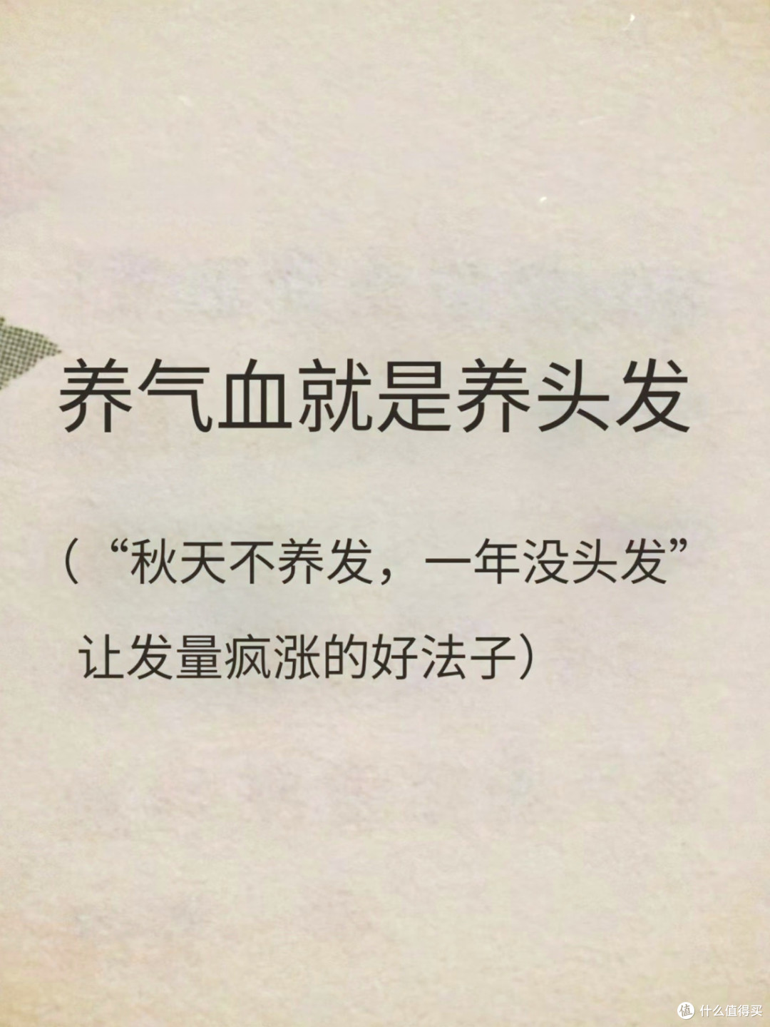 长出小碎发,从补气血开始的日常养护指南