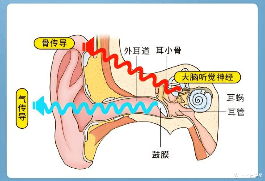 听力健康不可忽视!科学选配助听器,5大维度助你找回生活品质