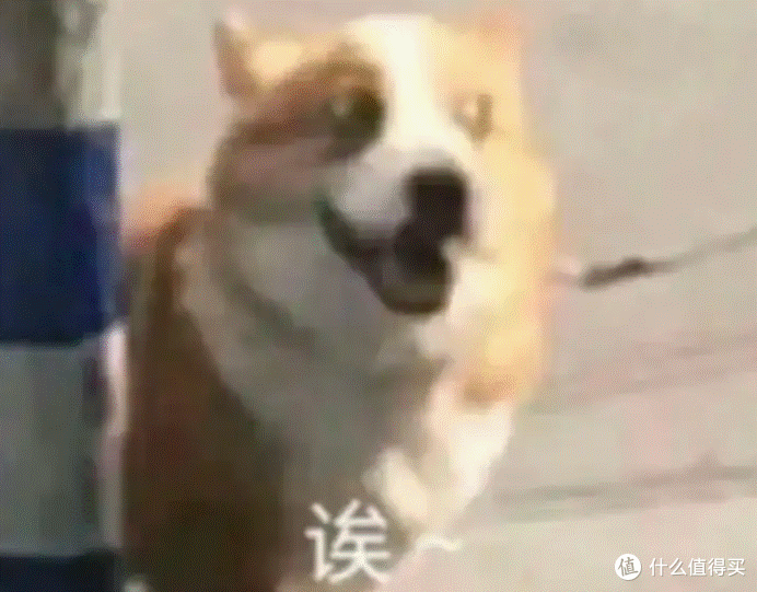 儿童保温杯哪个品牌的质量好?七大儿童水杯推荐,开学季送孩子!