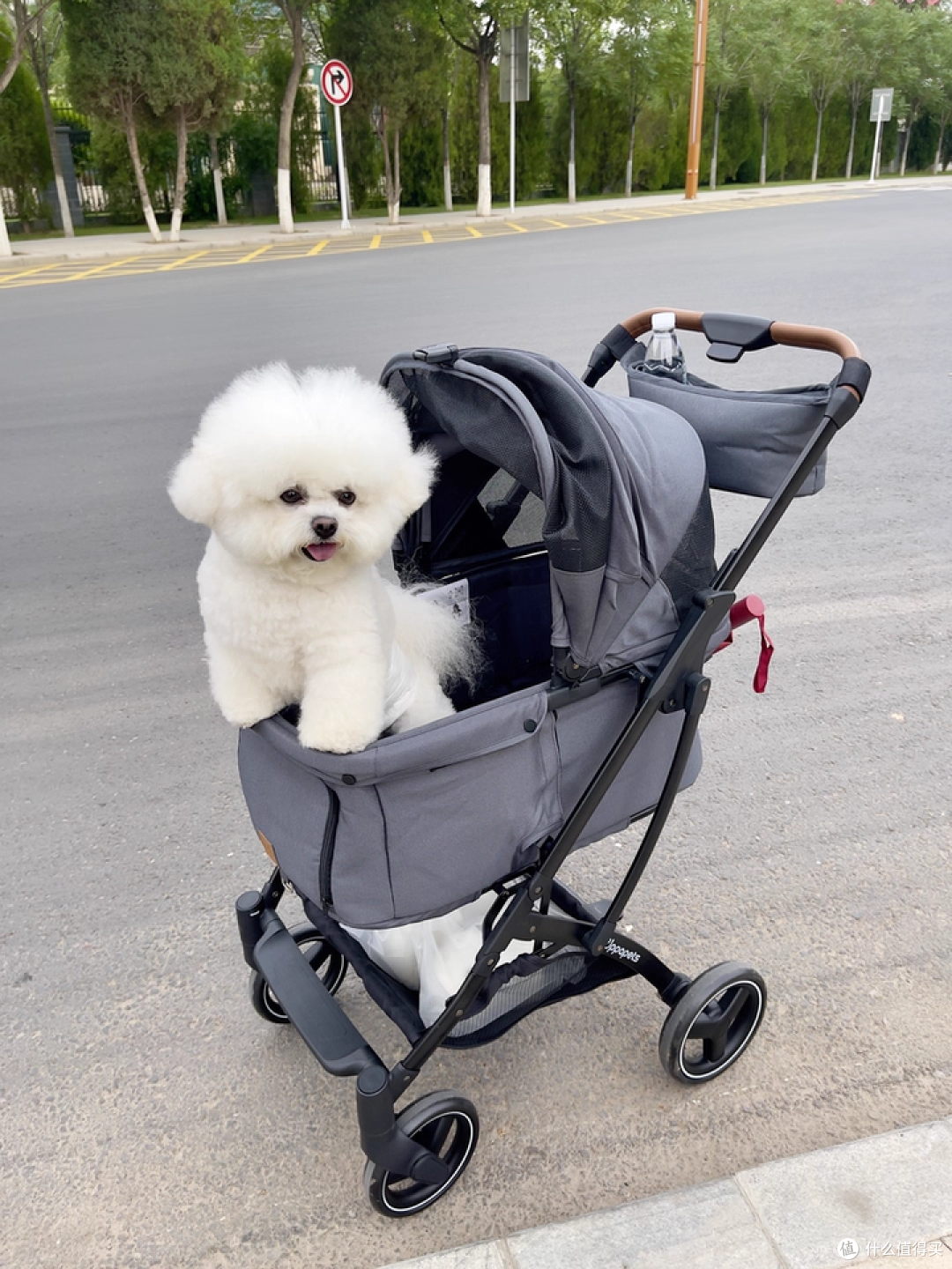 狗狗坐在uppapets宠物推车兜风