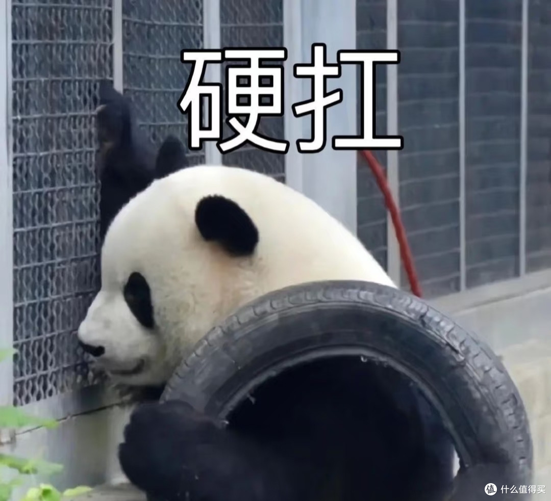 楼市最魔幻的一幕出现了:房子白送,甚至还倒贴