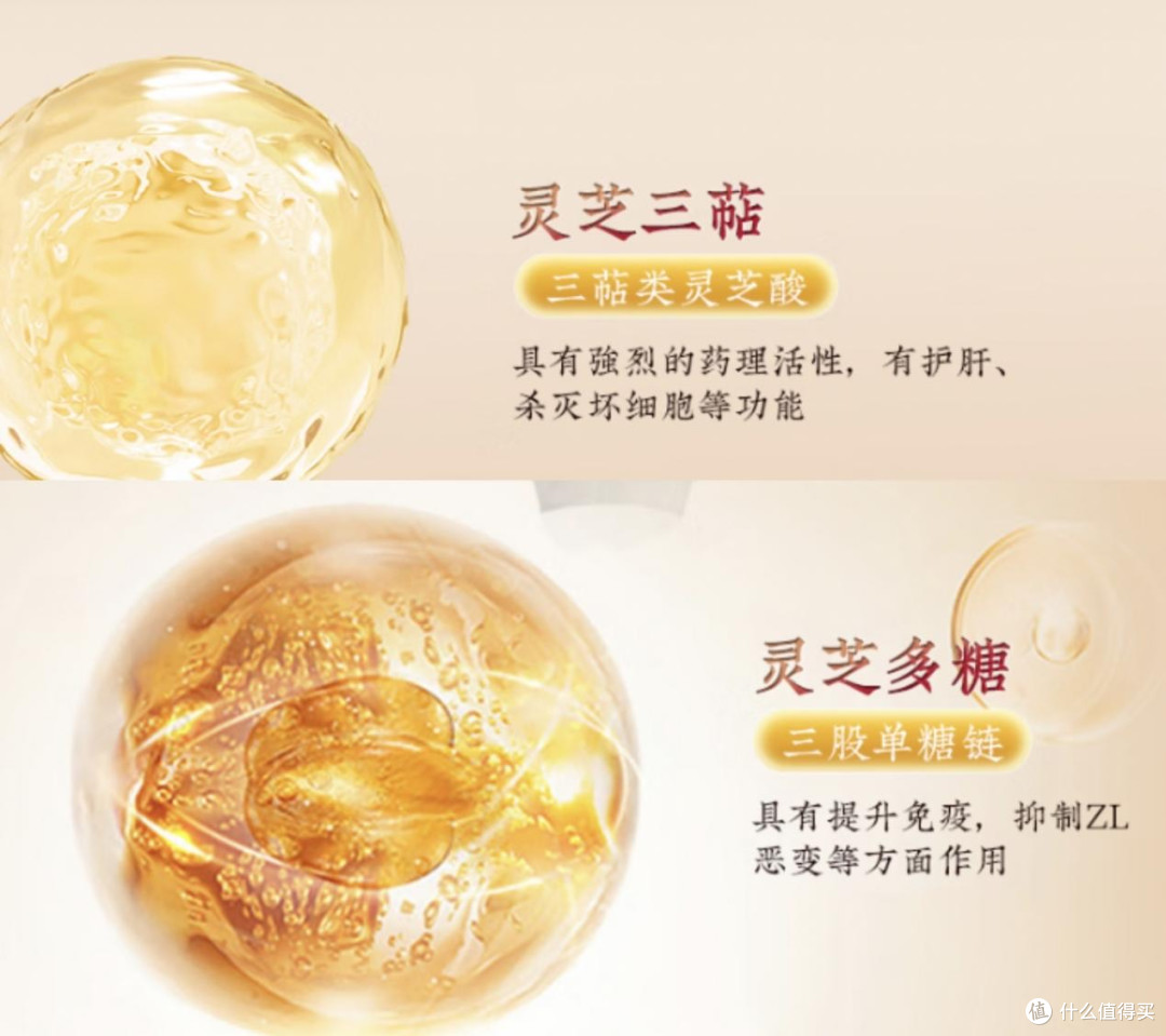 灵芝孢子粉哪个牌子最正宗?八大热门品牌排行榜,养生党快收藏!